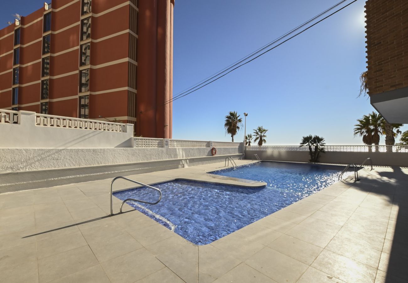 Apartamento en Calpe - A40 CALPEMAR  C 8º 32