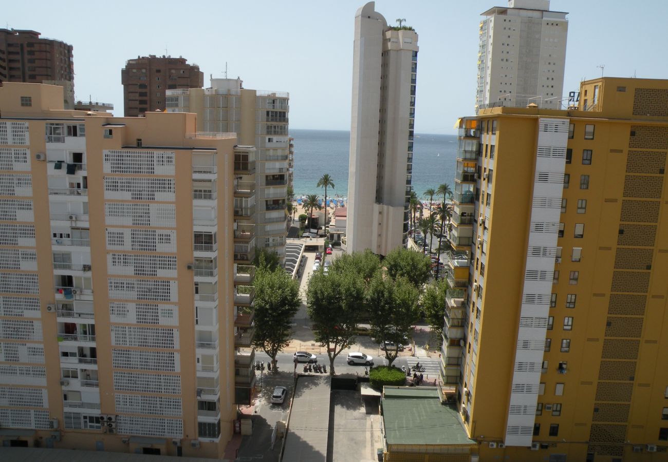 Apartamento en Benidorm - LOS PINOS 12B