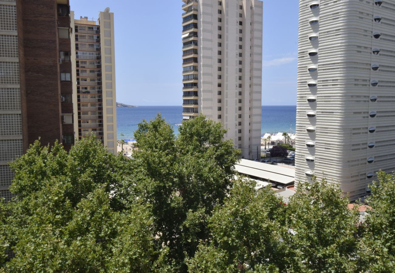 Apartamento en Benidorm - PRINCIP. MEDITERRANEO 6D