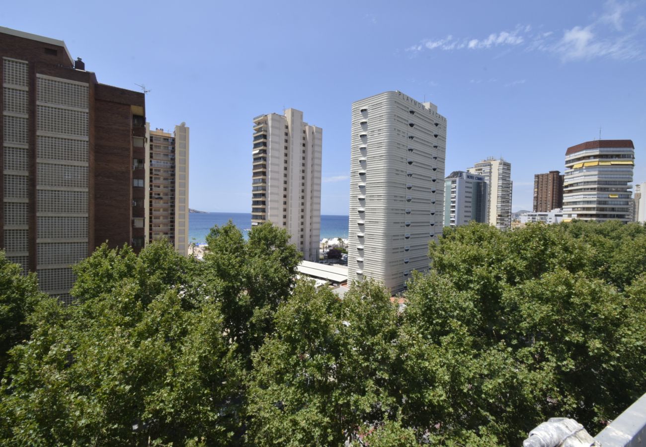 Apartamento en Benidorm - PRINCIP. MEDITERRANEO 6D