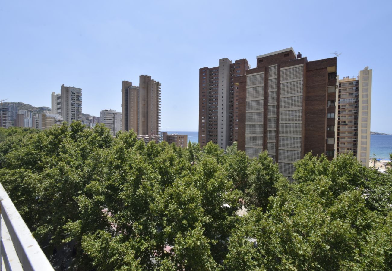 Apartamento en Benidorm - PRINCIP. MEDITERRANEO 6D