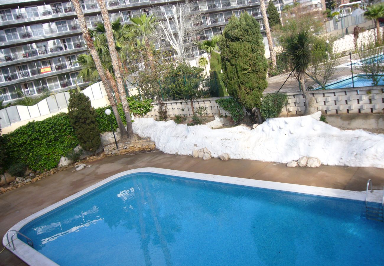 Apartamento en Benidorm - MARISCAL 1 10C