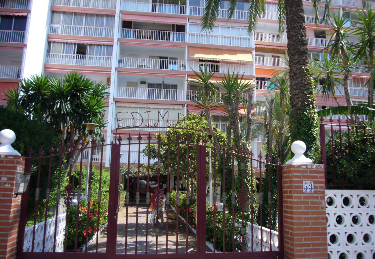 Apartamento en Benidorm - EDIMAR 33