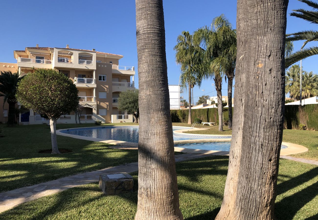 Apartamento en Denia - EL HORT A-8