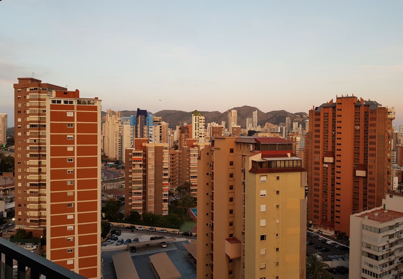 Apartamento en Benidorm - ACACIAS 4 17H