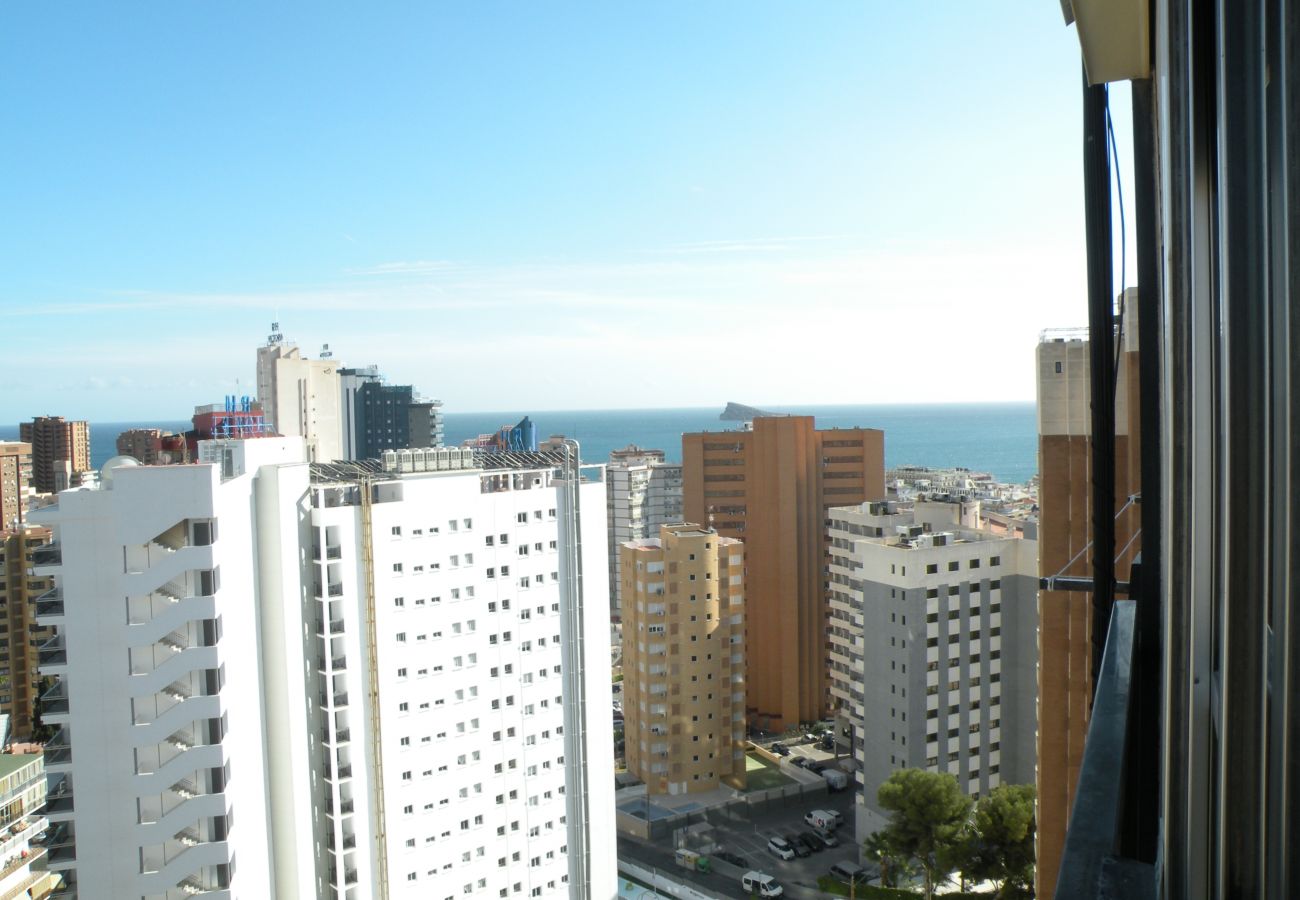 Apartamento en Benidorm - ACACIAS 4 17H