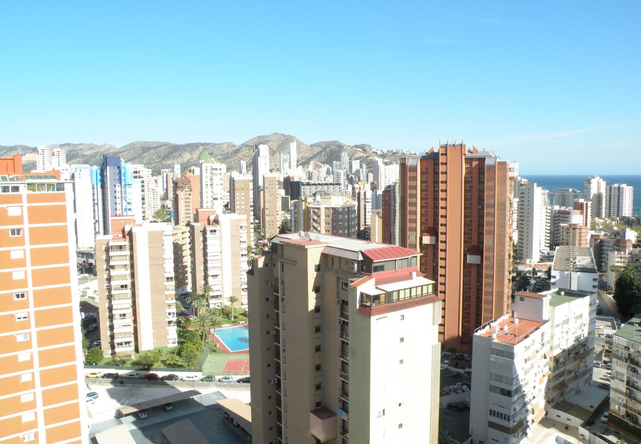 Apartamento en Benidorm - ACACIAS 4 17H