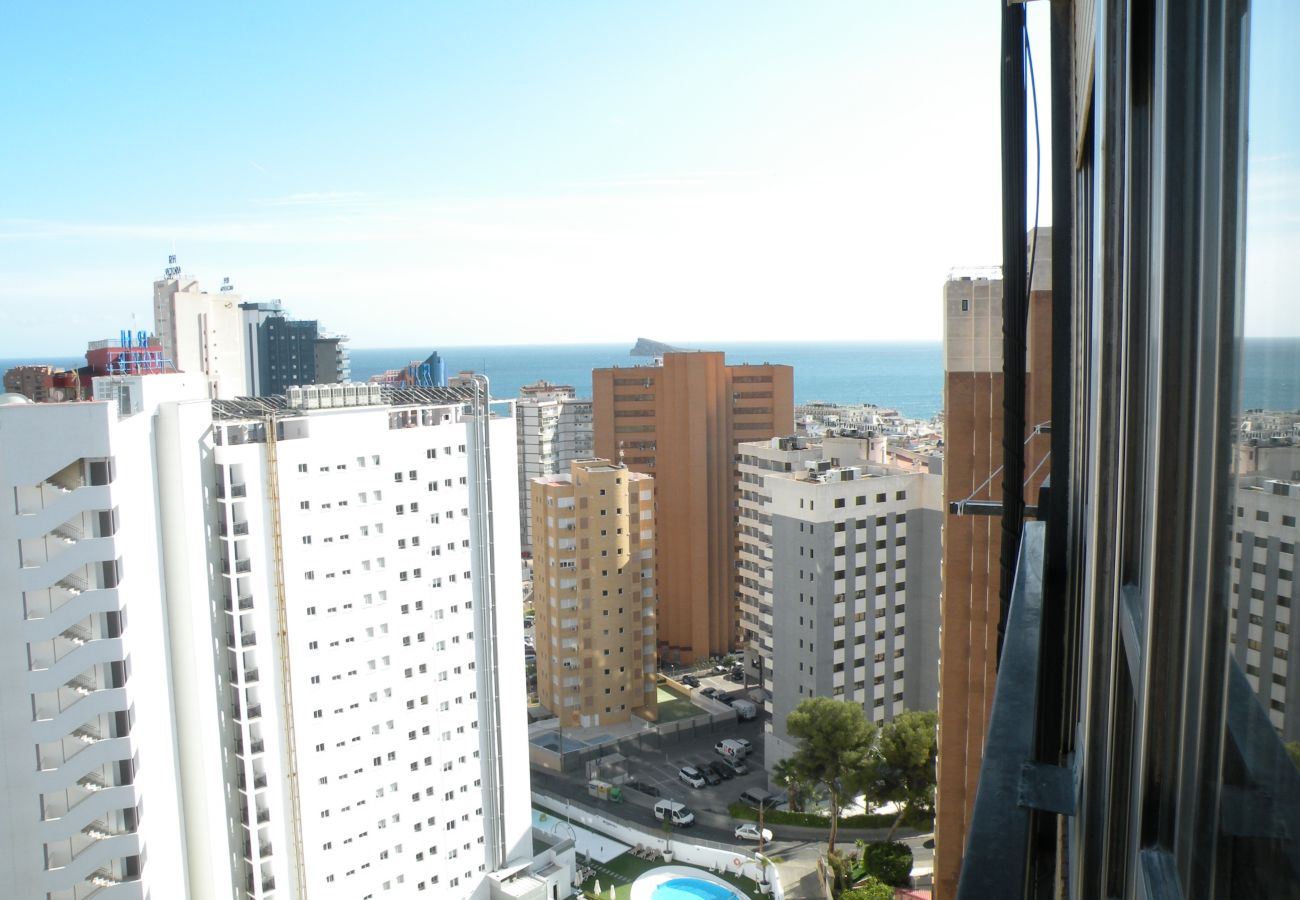 Apartamento en Benidorm - ACACIAS 4 17H