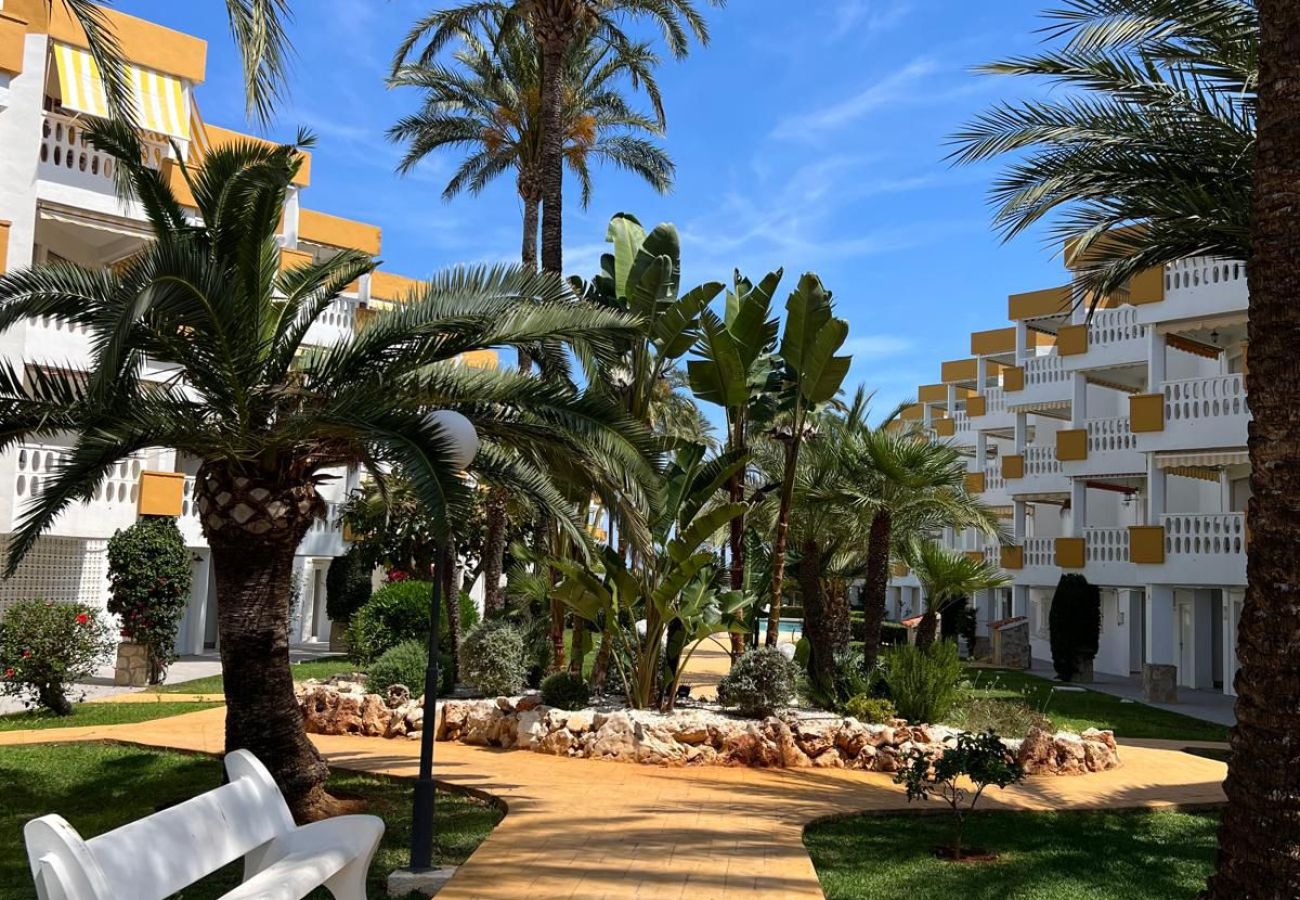 Apartamento en Denia - 172 Holiday Beach