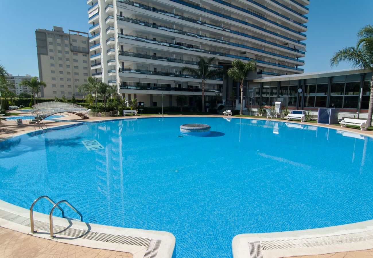 Apartamento en Playa de Gandía - 61. AG EDEN RESORT 9/1/1