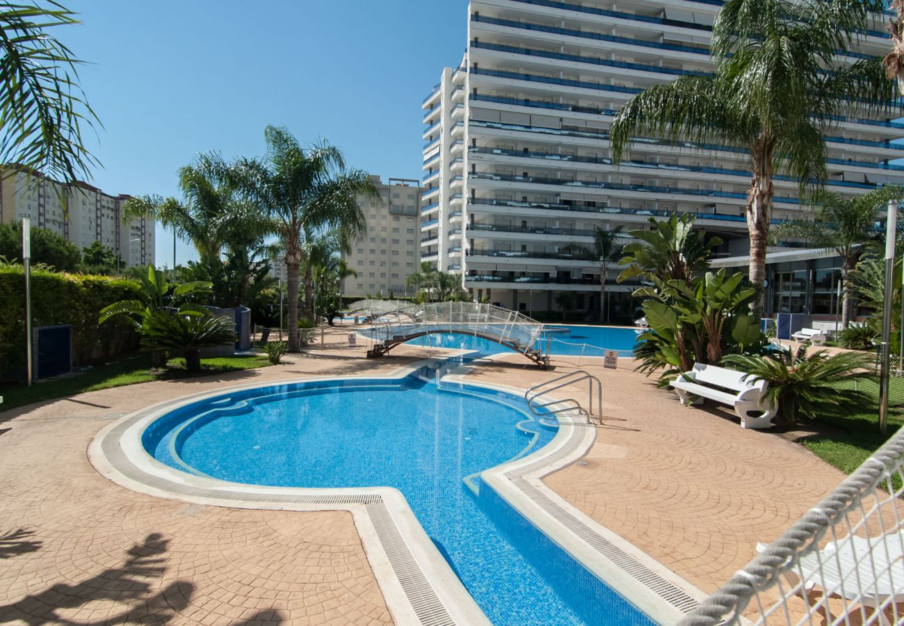 Apartamento en Playa de Gandía - 61. AG EDEN RESORT 9/1/1