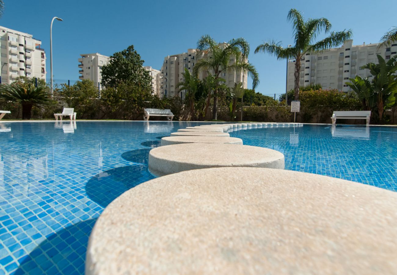 Apartamento en Playa de Gandía - 63. AG EDEN RESORT 11/2/1