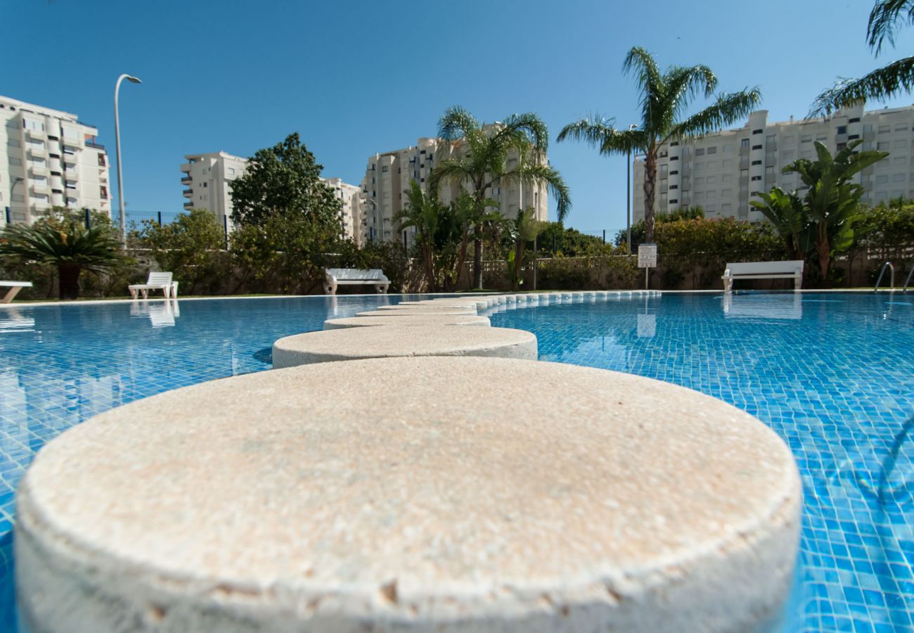 Apartamento en Playa de Gandía - 64. AG EDEN RESORT 12/2/1