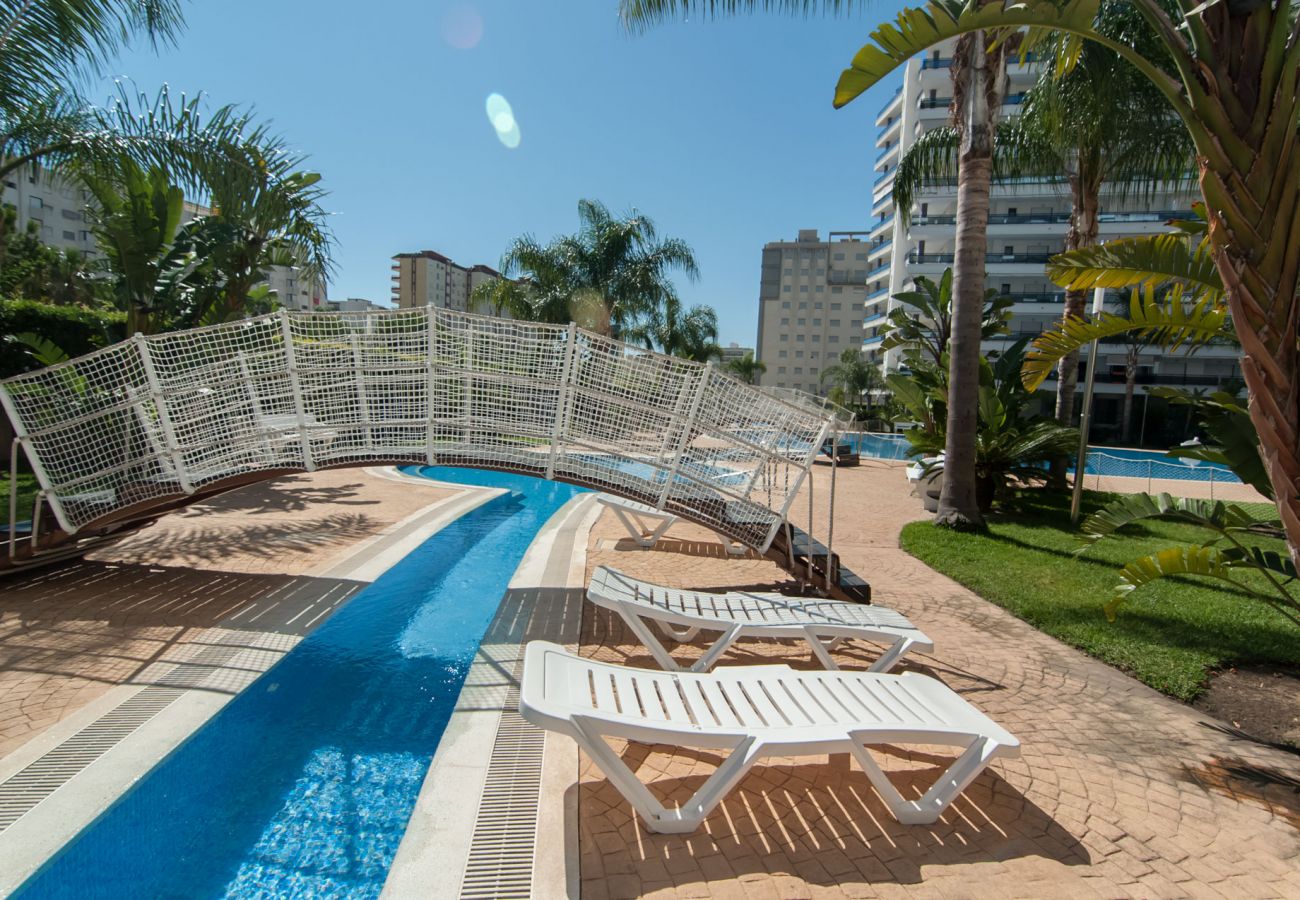 Apartamento en Playa de Gandía - 64. AG EDEN RESORT 12/2/1