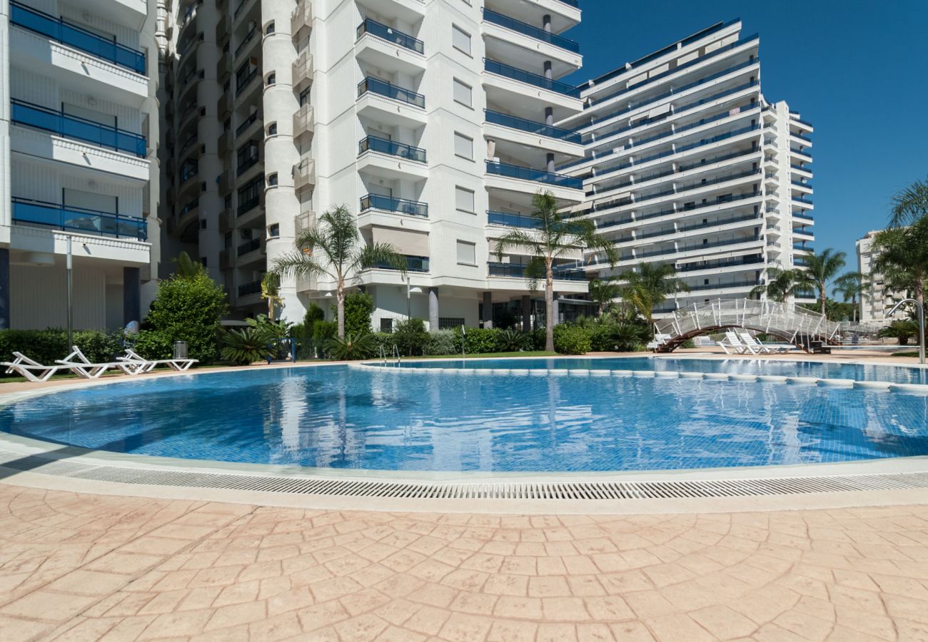 Apartamento en Playa de Gandía - 68. AG EDEN RESORT 9/3/4