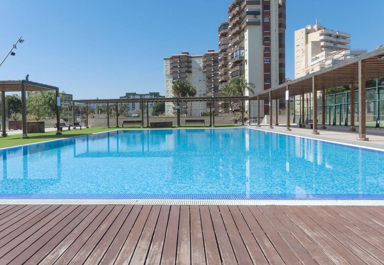 Apartamento en Playa de Gandía - 02. AG BERMUDAS 6H PREMIUM