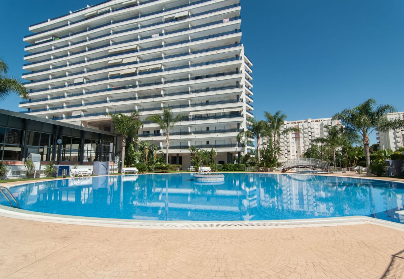 Apartamento en Playa de Gandía - 72. AG EDEN RESORT 4/3/4