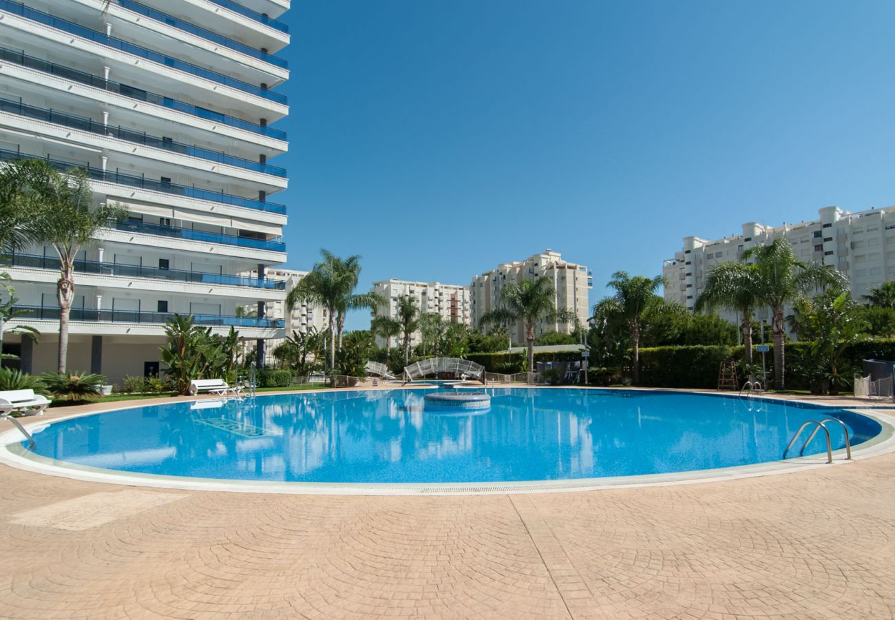 Apartamento en Playa de Gandía - 72. AG EDEN RESORT 4/3/4