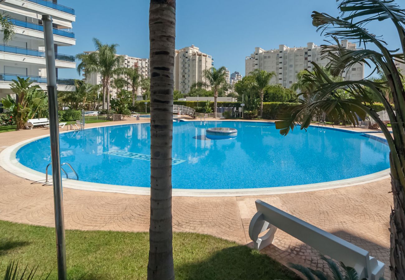 Apartamento en Playa de Gandía - 72. AG EDEN RESORT 4/3/4