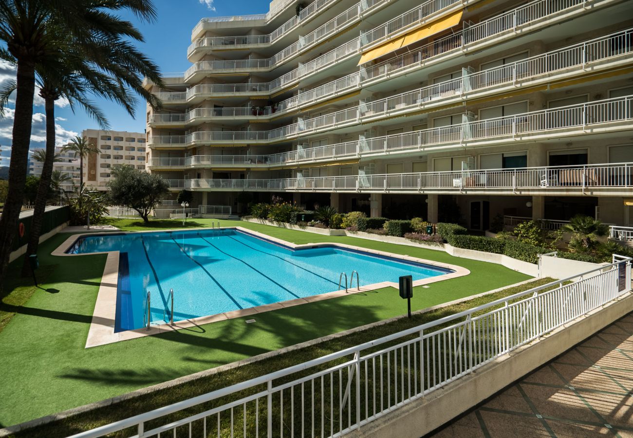 Apartamento en Playa de Gandía - 33. AG AGUAMARINA 5