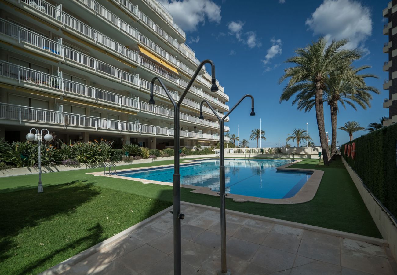 Apartamento en Playa de Gandía - 33. AG AGUAMARINA 5