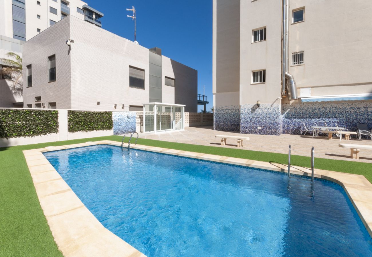 Apartamento en Playa de Gandía - 17. AG ARENA 7 PREMIUM