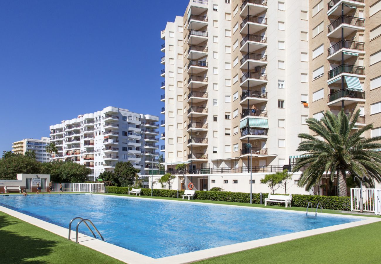 Apartamento en Playa de Gandía - 49. AG PRESIDENTE 9A-3