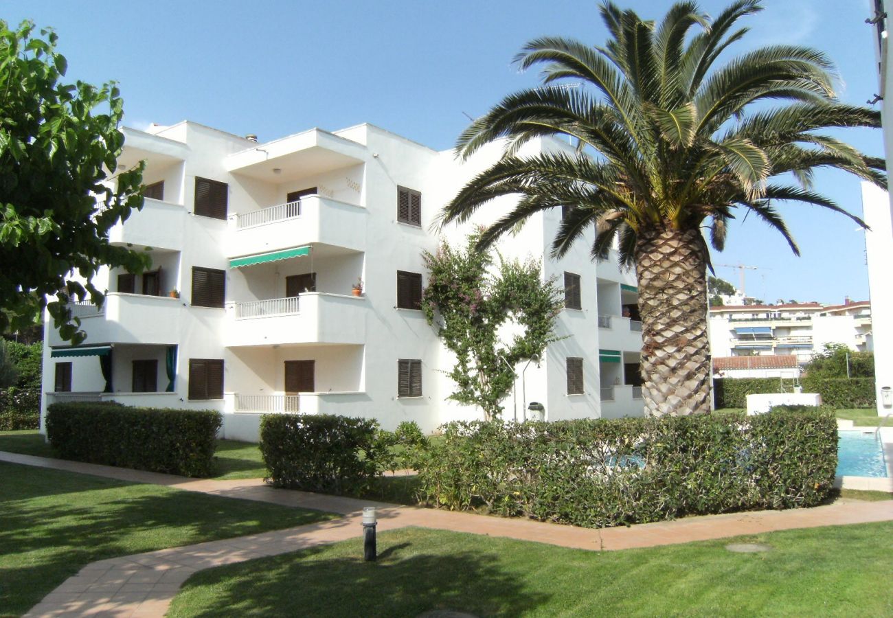 Apartamento en L'Escala - CALA MONTGO 33