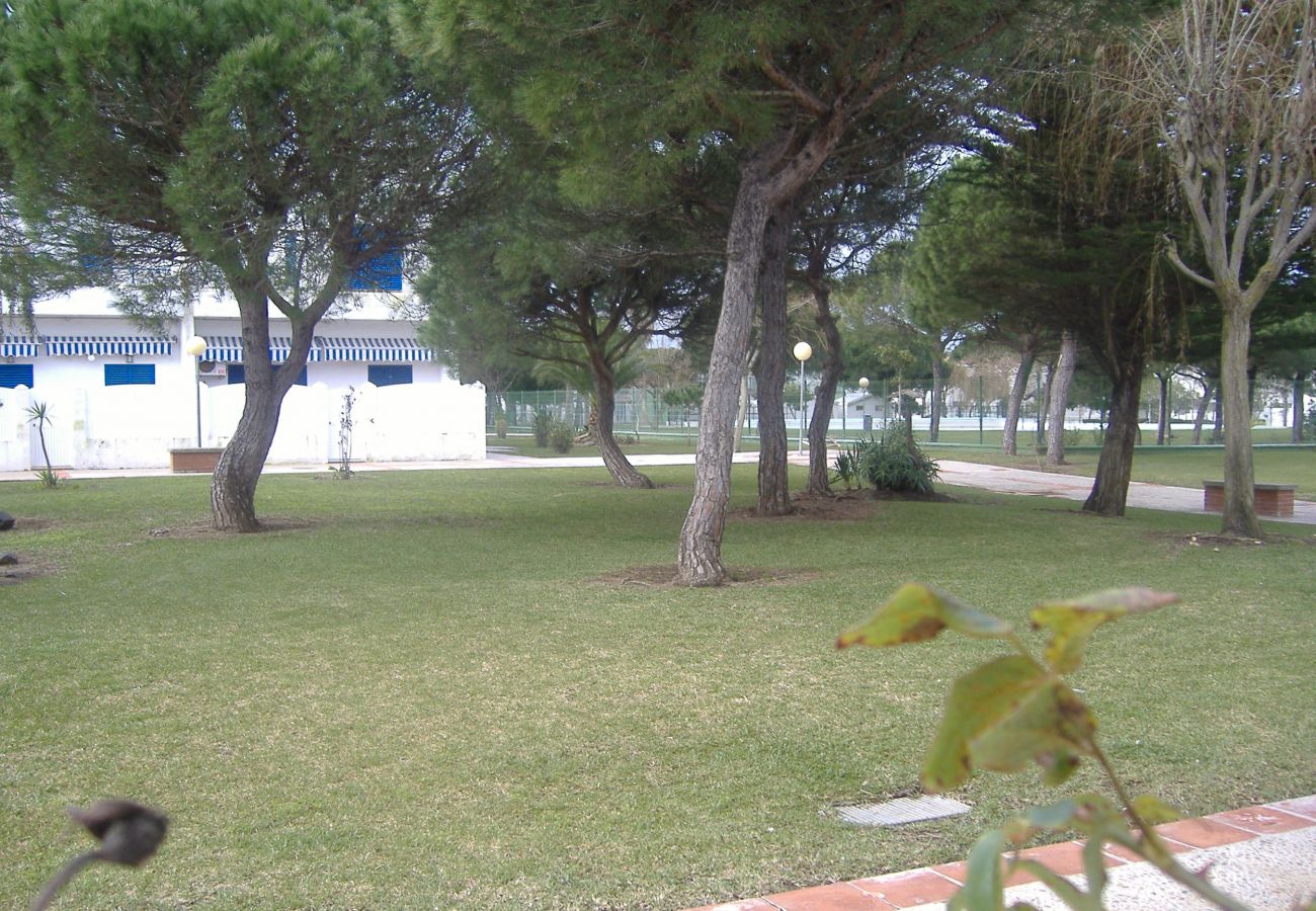 Apartamento en Chiclana de la Frontera - R394 Apartamento La Almadraba 4