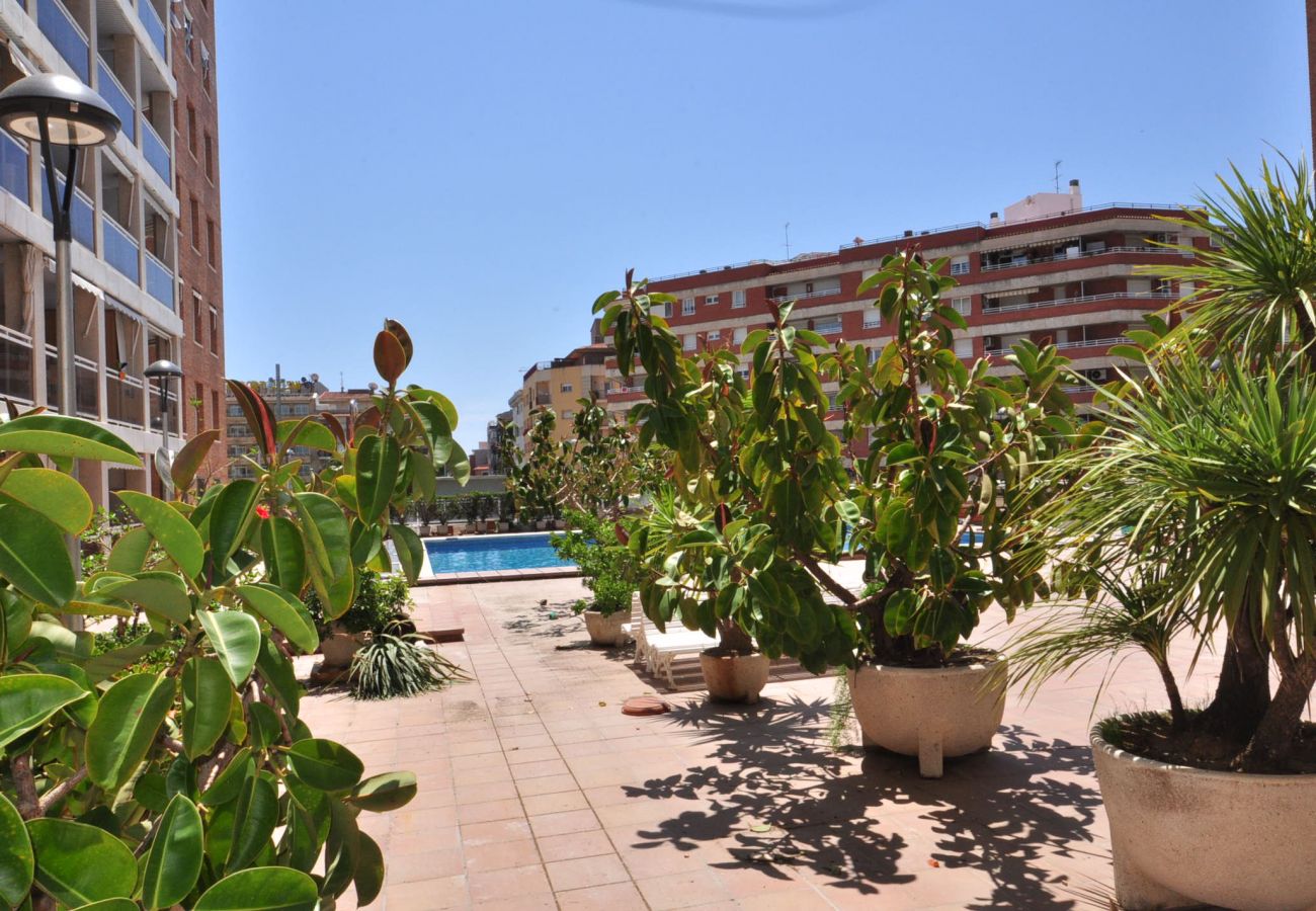 Apartamento en Cambrils - OLIMAR B 23