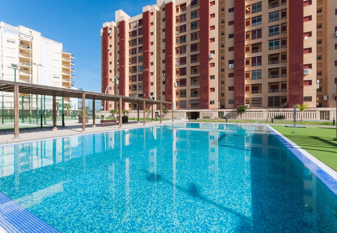 Apartamento en Playa de Gandía - 04. AG BERMUDAS 7J PREMIUM