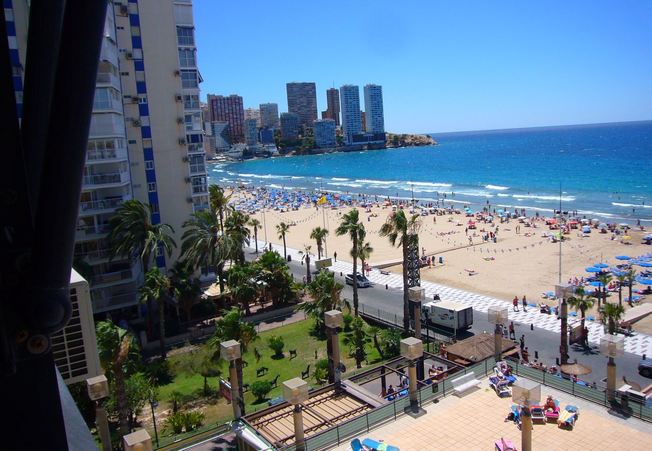 Estudio en Benidorm - SANTA MARGARITA 4C