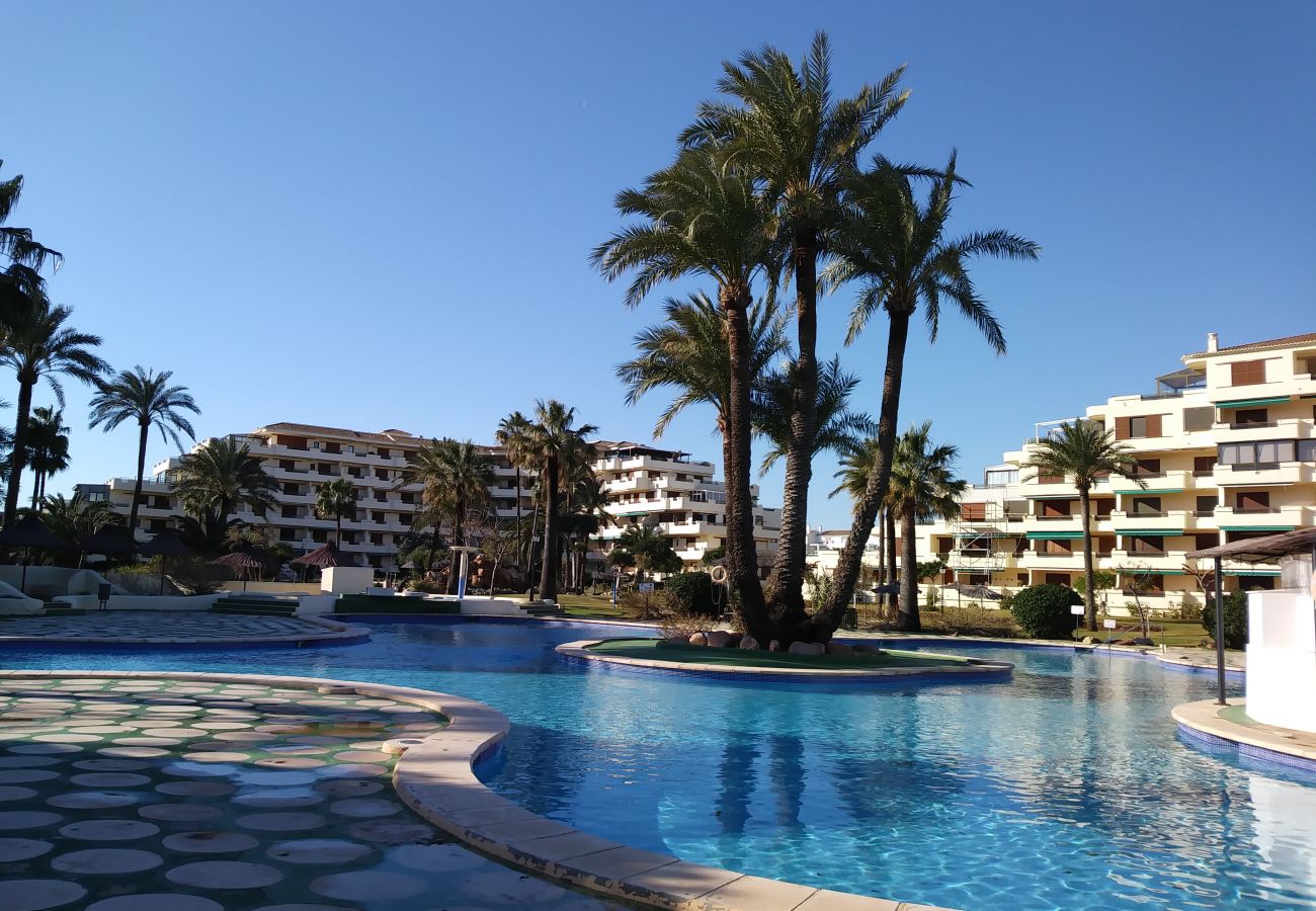 Apartamento en Denia - PLAYA GRANDE B-2(M)