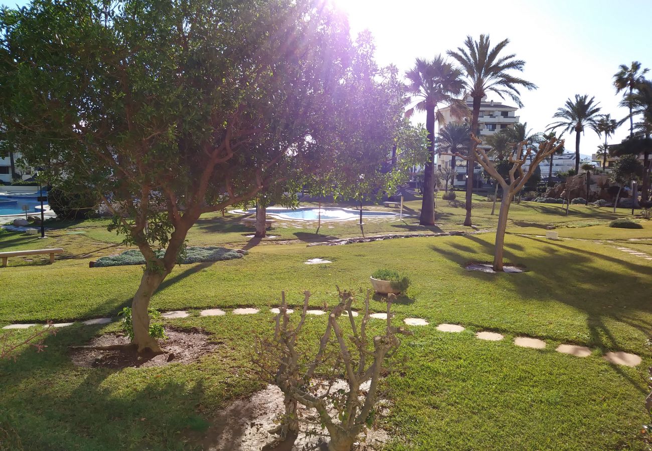 Apartamento en Denia - PLAYA GRANDE C-1