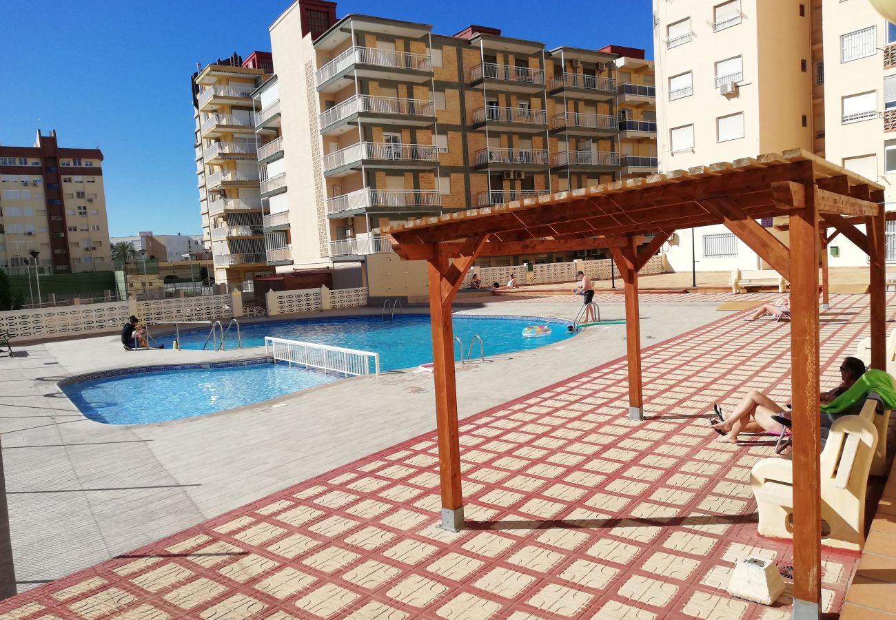 Apartamento en Playa de Gandía - 1.Infante E8-7º