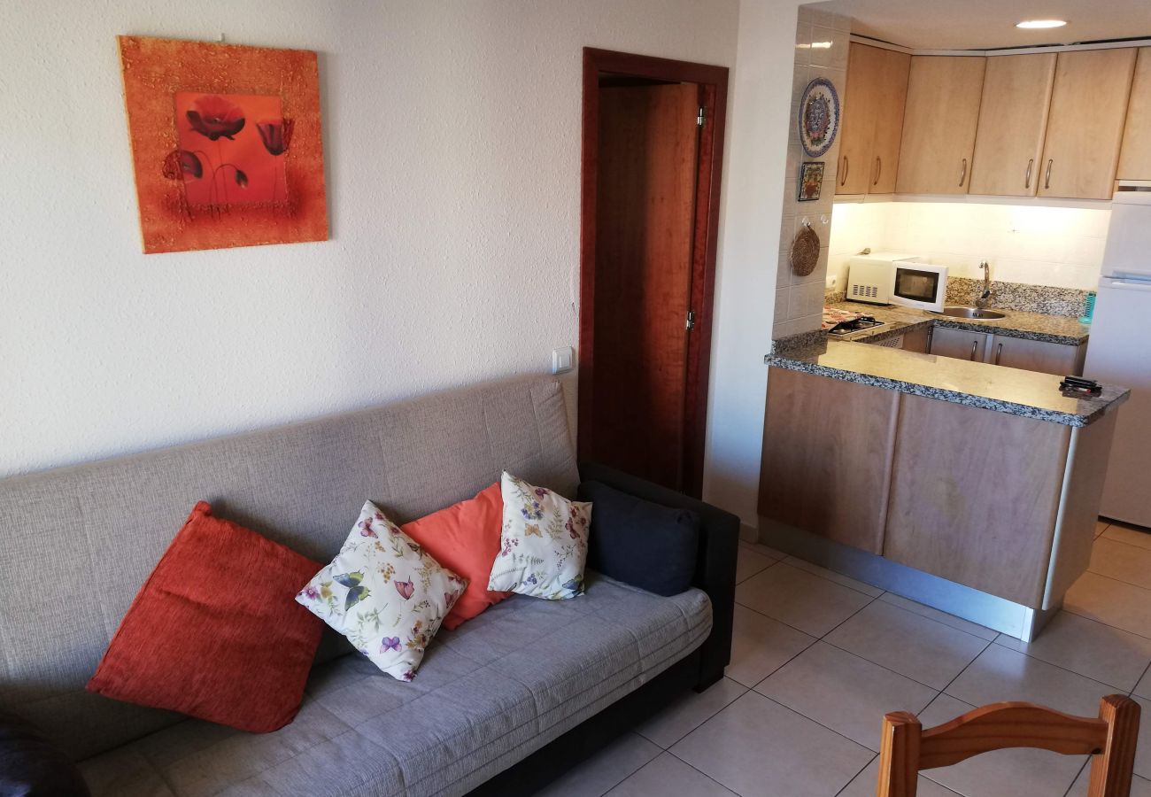 Apartamento en Playa de Gandía - 1.Infante E8-7º