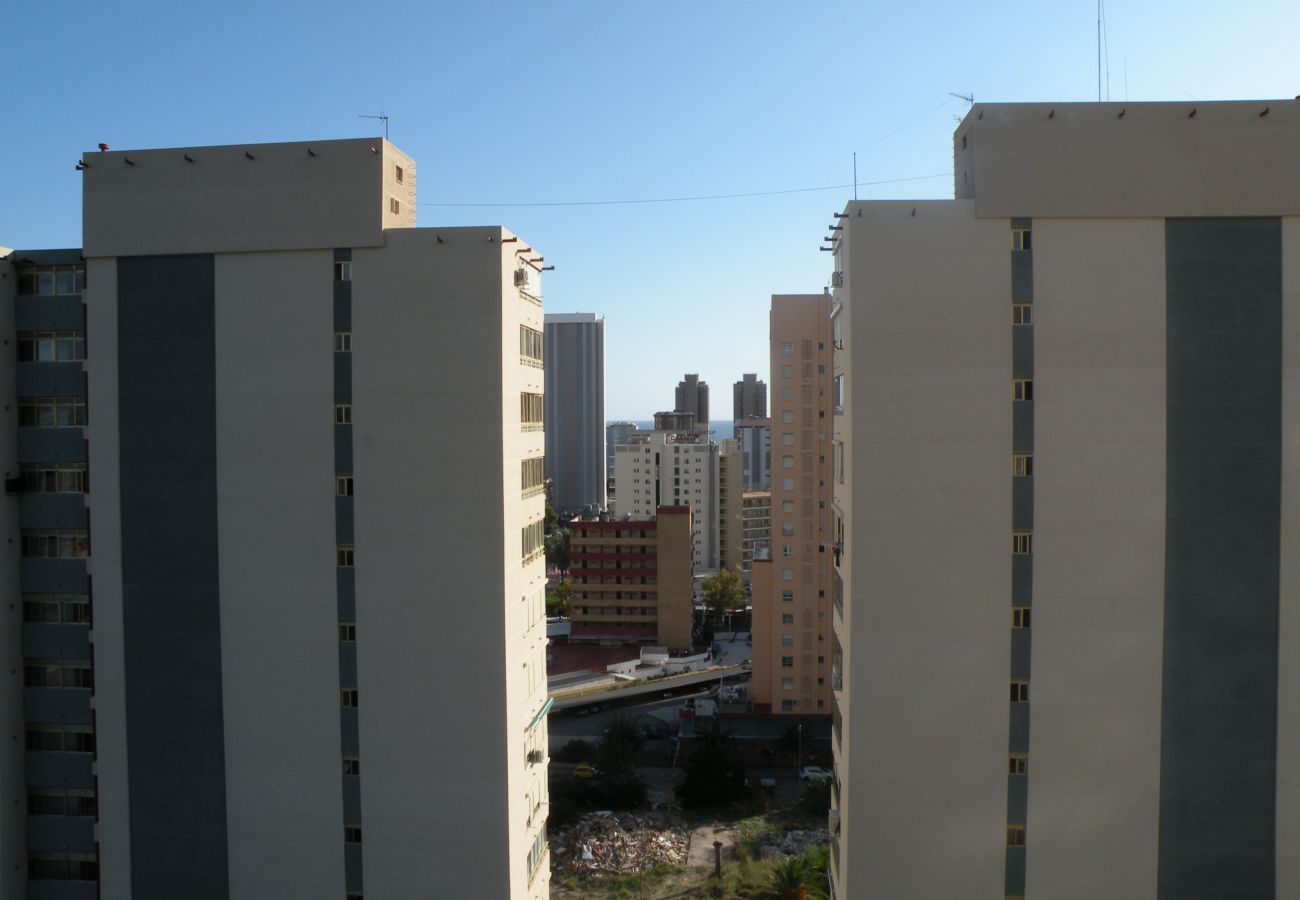 Apartamento en Benidorm - KENNEDY 1 12A