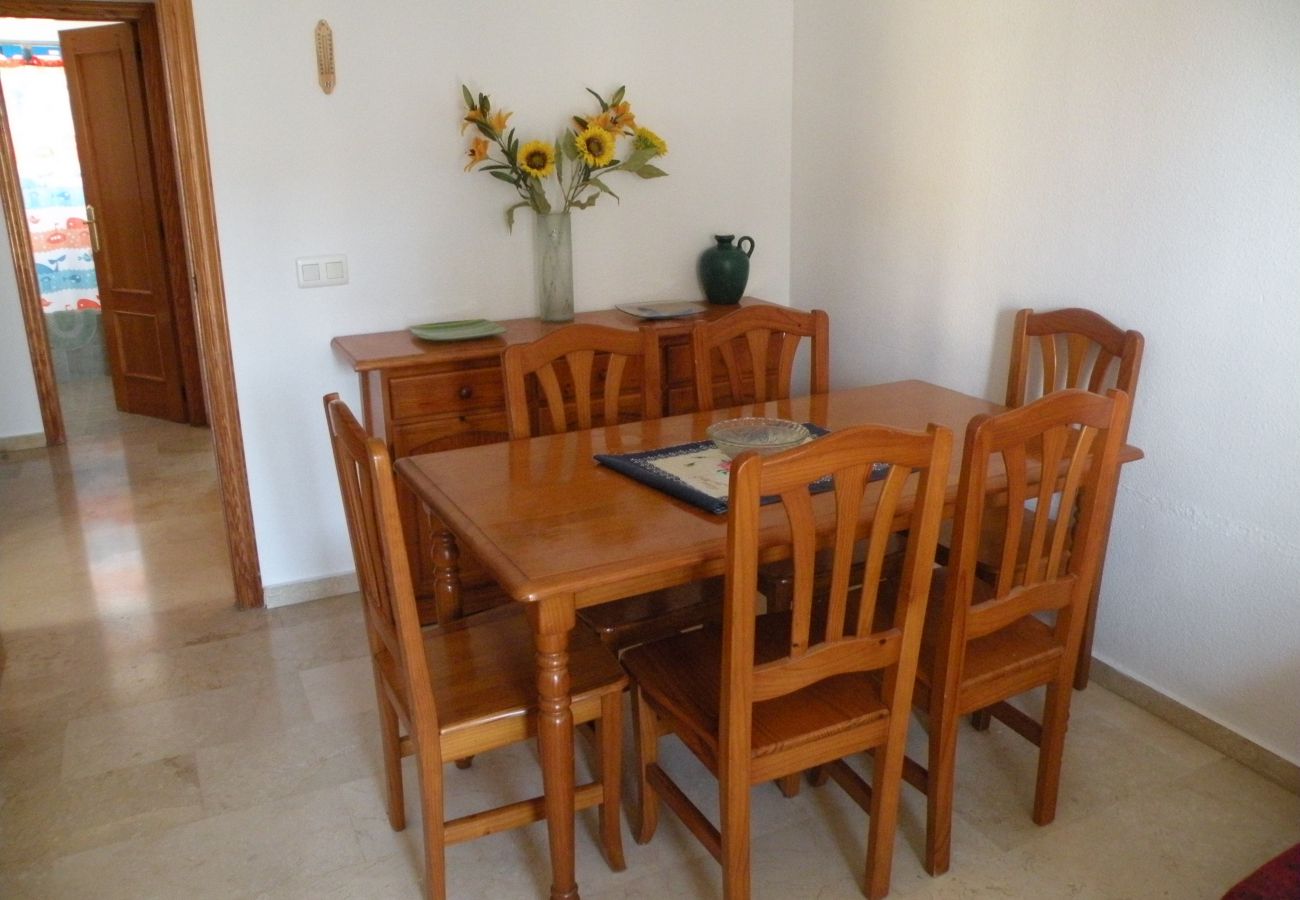 Apartamento en Benidorm - KENNEDY 1 12A