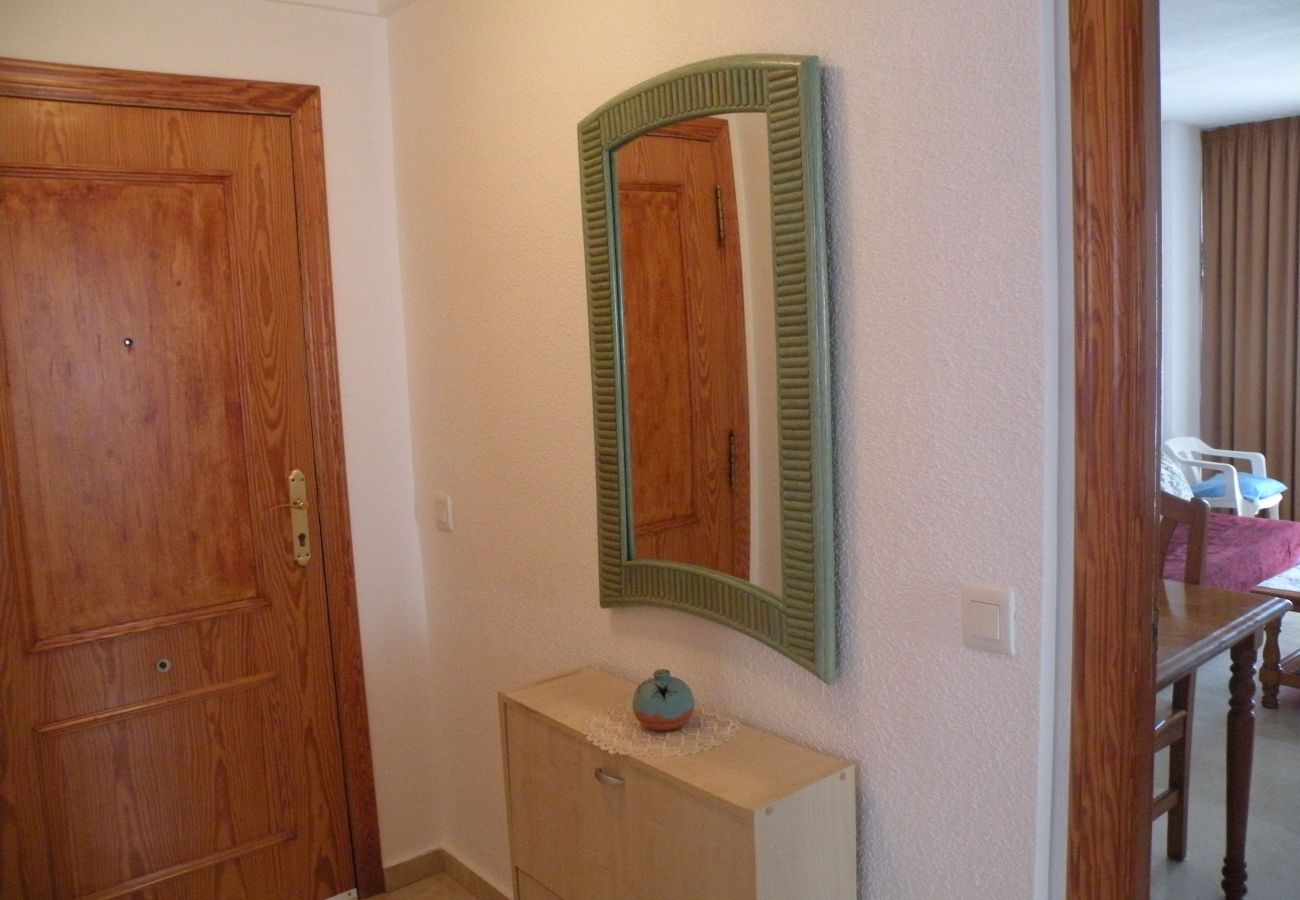 Apartamento en Benidorm - KENNEDY 1 12A