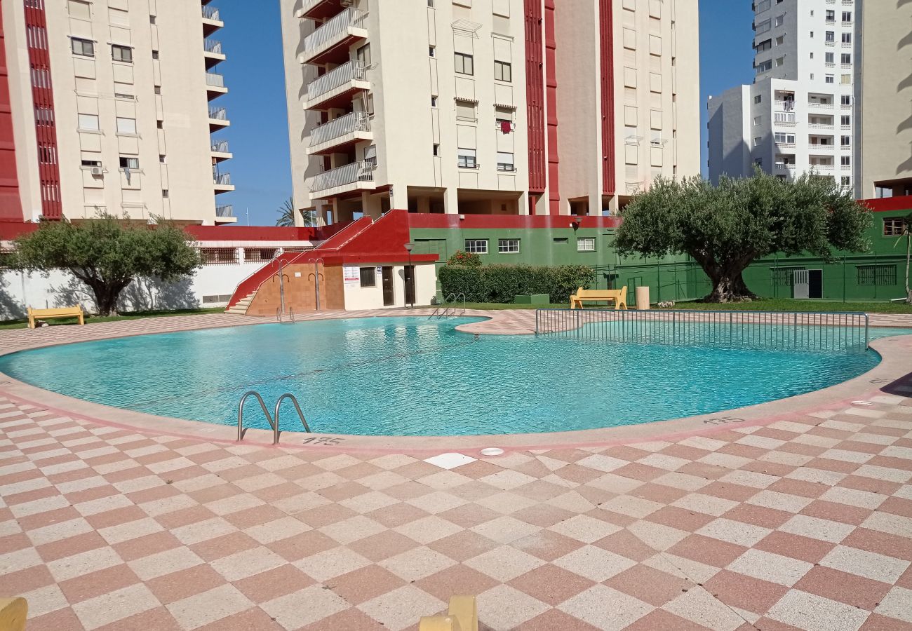 Apartamento en Playa de Gandía - 1.Danio 5ºA (garaje 58)