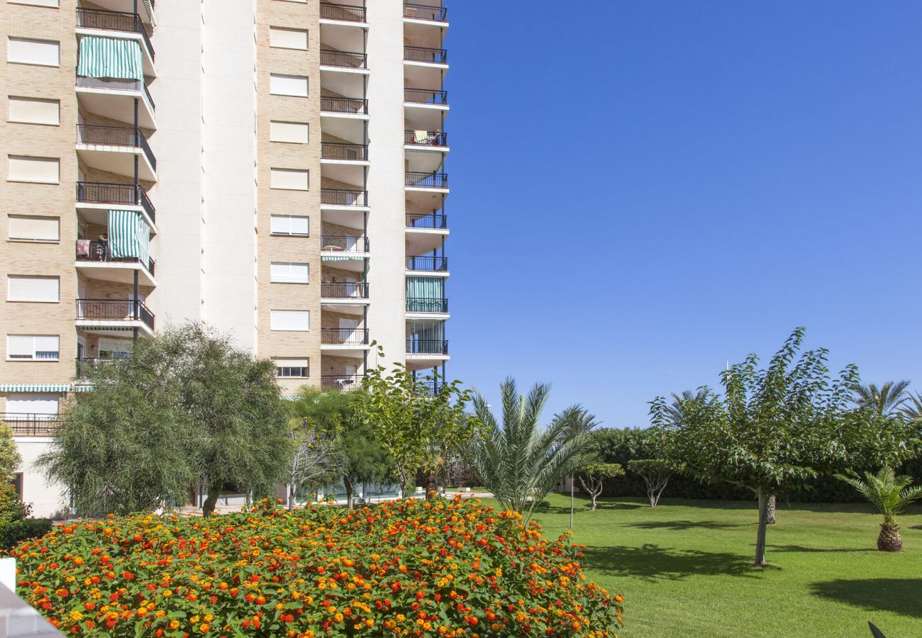 Apartamento en Playa de Gandía - 46. AG PRESIDENTE 3A-3