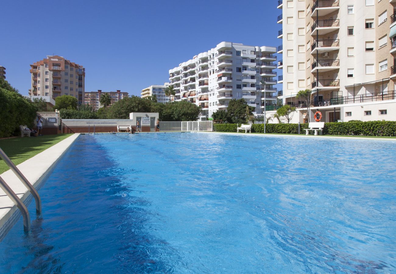 Apartamento en Playa de Gandía - 46. AG PRESIDENTE 3A-3