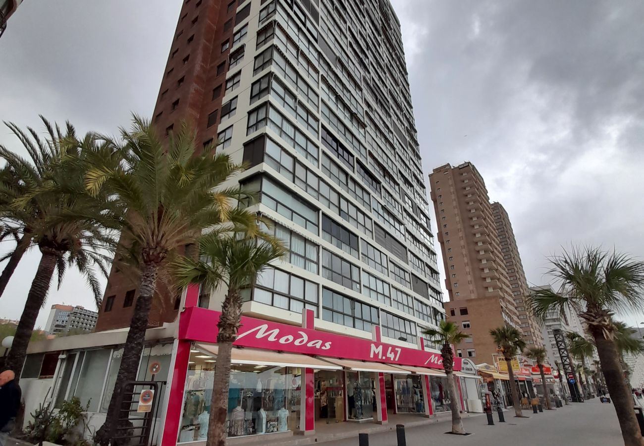 Apartamento en Benidorm - LOS GEMELOS 5B