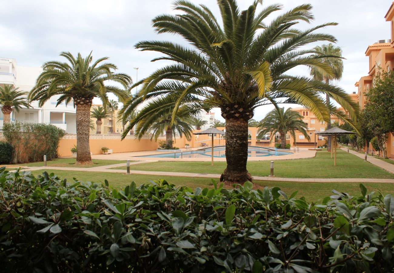 Apartamento en Denia - 187 Palm Beach, 72