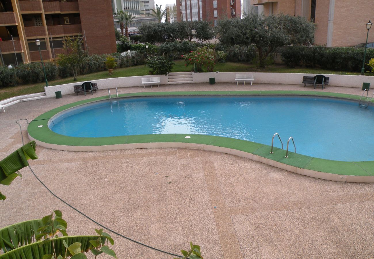 Apartamento en Benidorm - KAROLA 8D