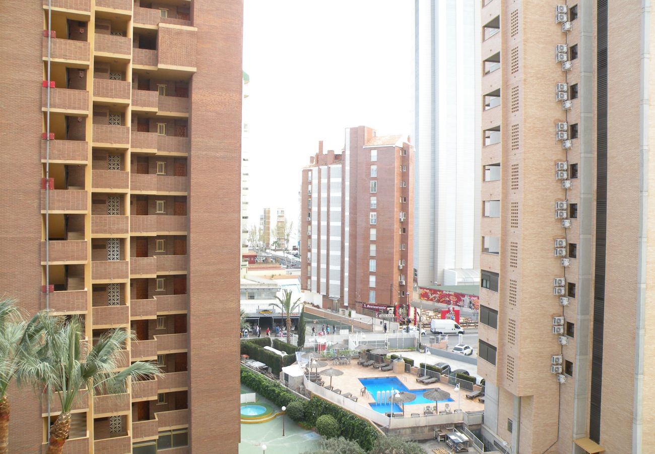 Apartamento en Benidorm - KAROLA 8D