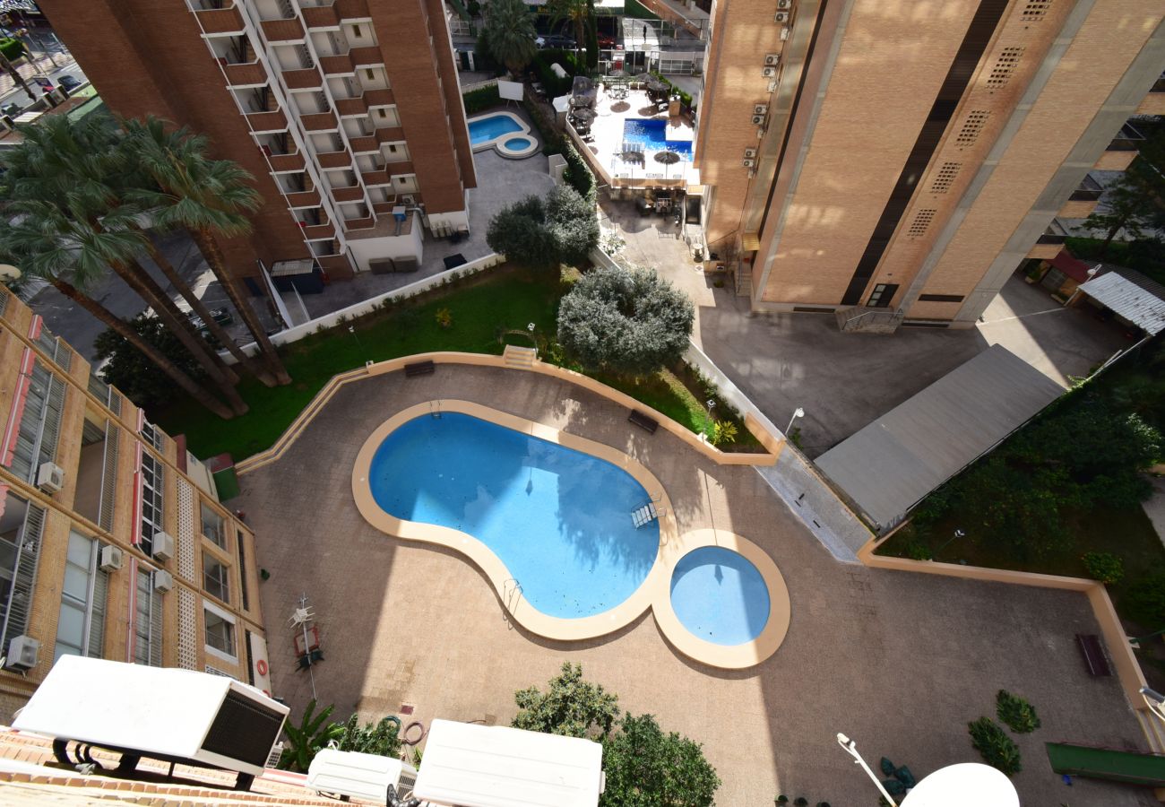 Apartamento en Benidorm - KAROLA 8D