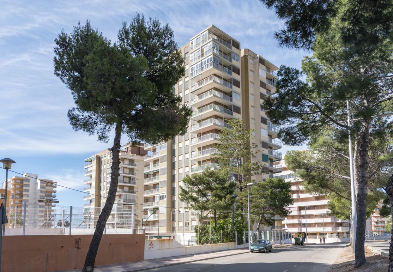 Apartamento en Cullera - AGUAMARINA- C 11º-51, CB-52