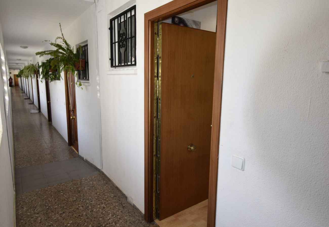 Apartamento en Benidorm - COMERCIAL LEPANTO 1-15