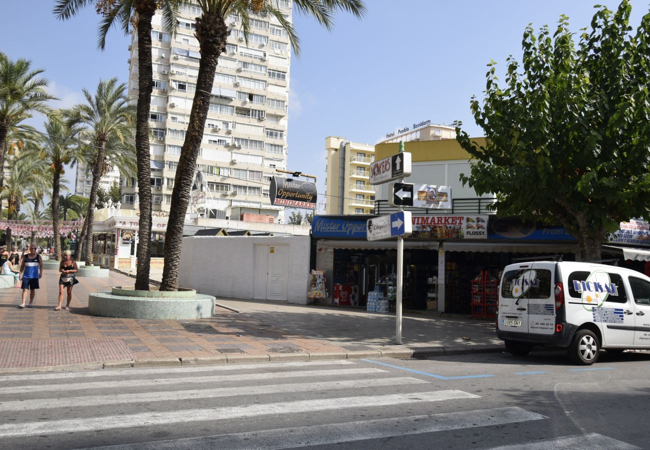 Apartamento en Benidorm - COMERCIAL LEPANTO 1-15